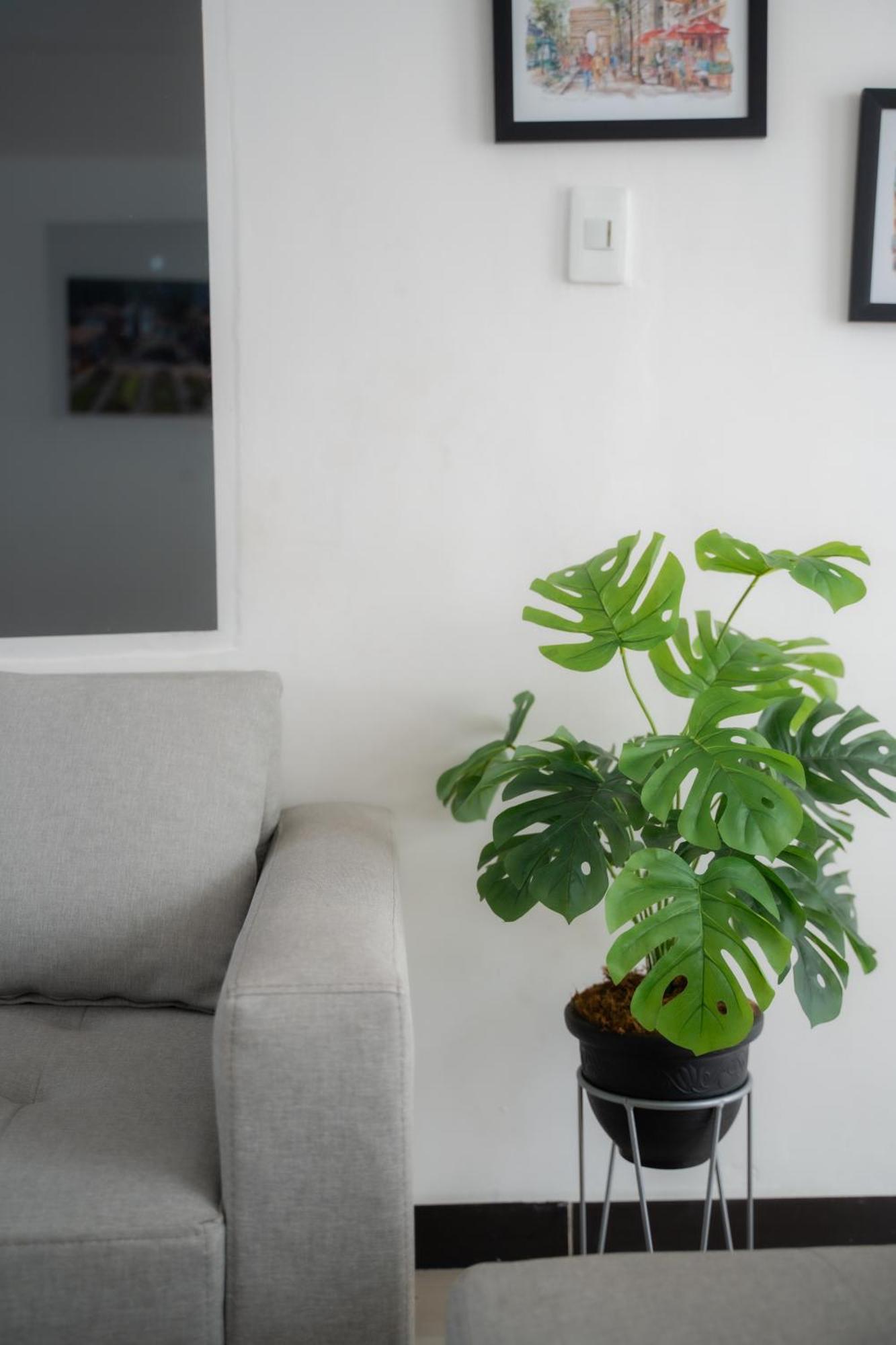 Apartment 5starhomes - Casa Encantadora En Laureles