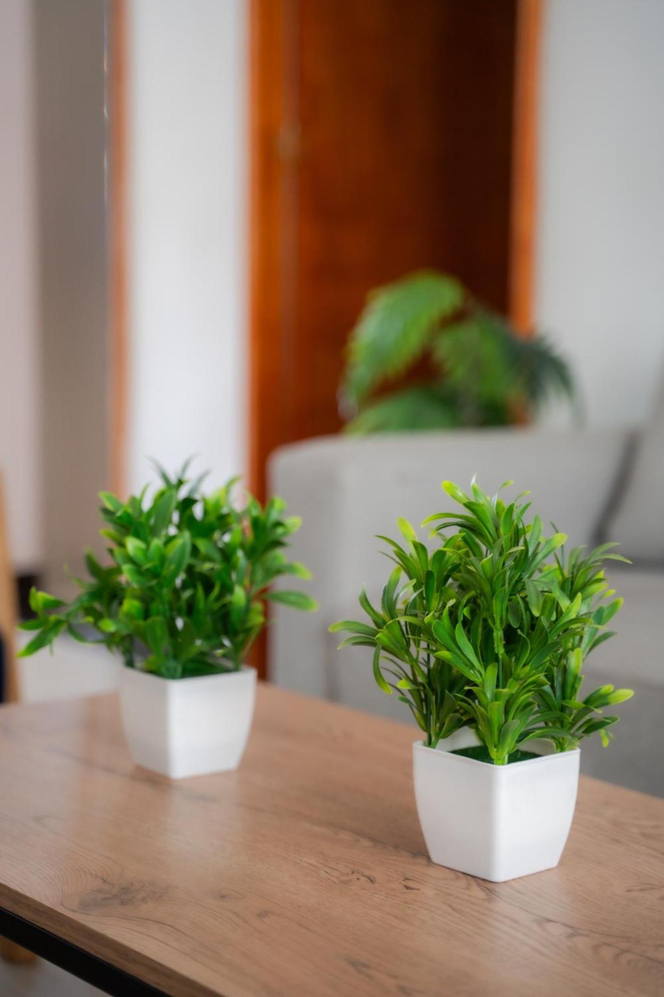 5starhomes - Casa Encantadora En Laureles Apartment *